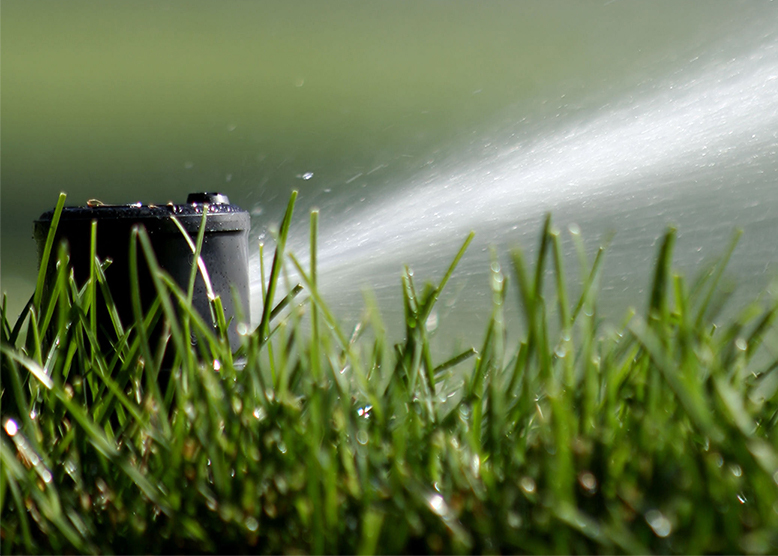 You are currently viewing Smart Irrigation Month